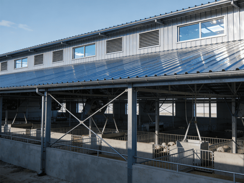 강철 프레임 농장이 현대 농업을 위한 최선의 선택이 되는 이유는 무엇입니까?